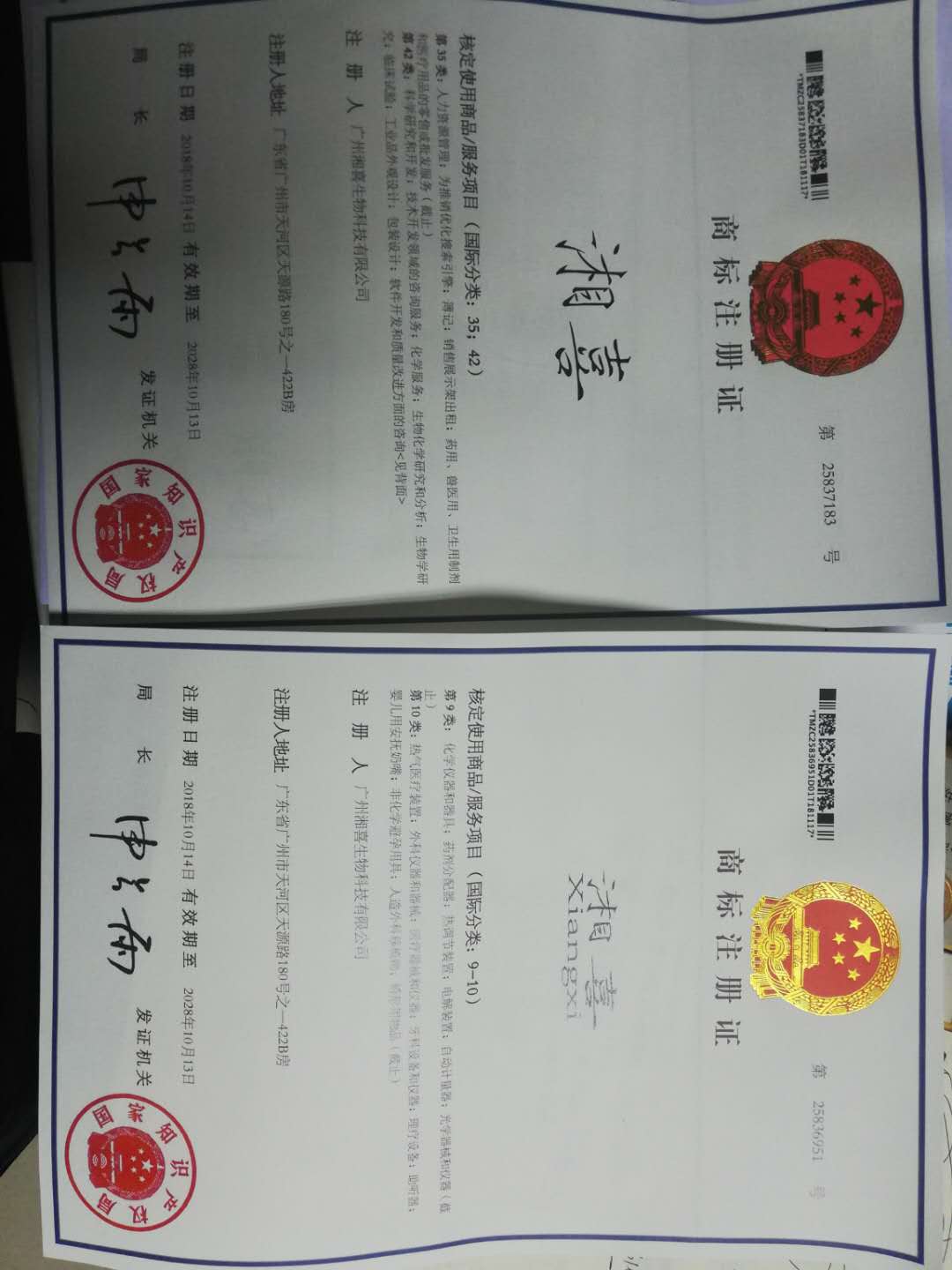 庆祝广州k8凯发国际申请到两项注册商标